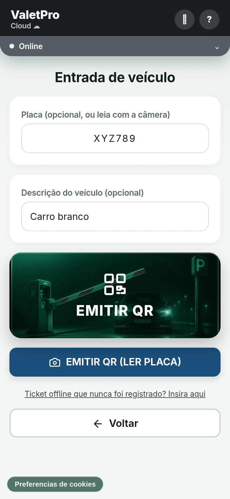 Tela de entrada de veículo do ValetProCloud em português, com placa e descrição do carro