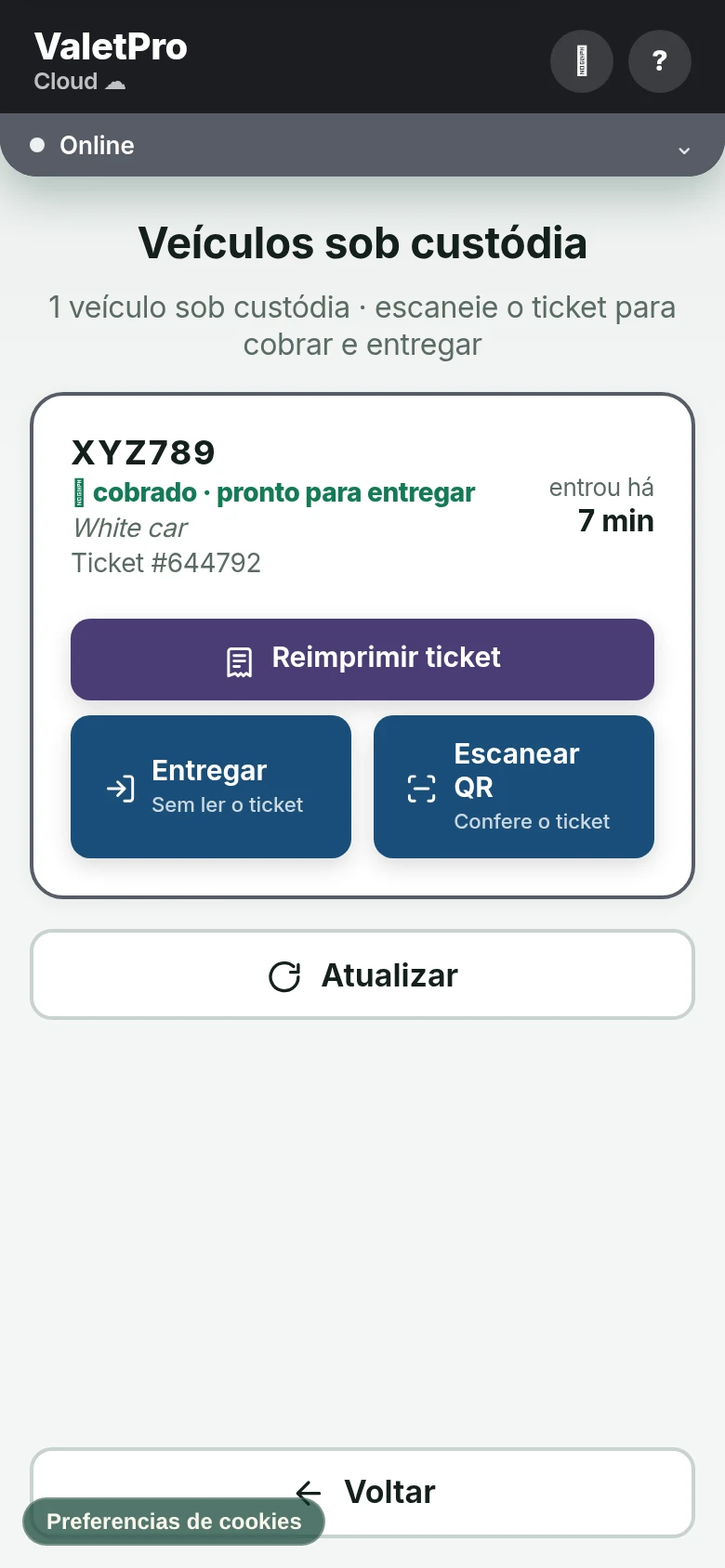 Tela de veículos dentro do ValetProCloud em português, com ticket e tempo de cada carro